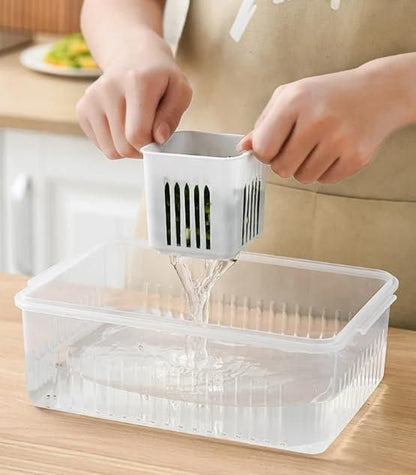 Freezer Storage Containers